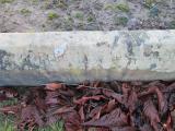 image of grave number 372961